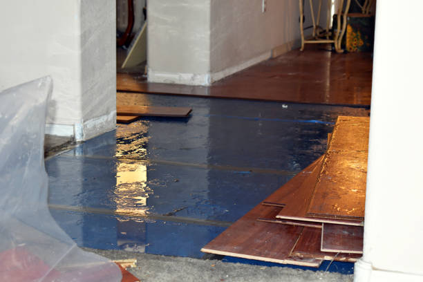 Professional Water Damage technician working in Bailey, NC