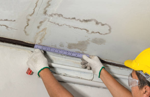 Reliable Water Damage contractor in Bailey, NC by Water Damage Irwin